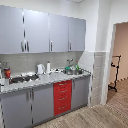 Merjemdanin זניקה